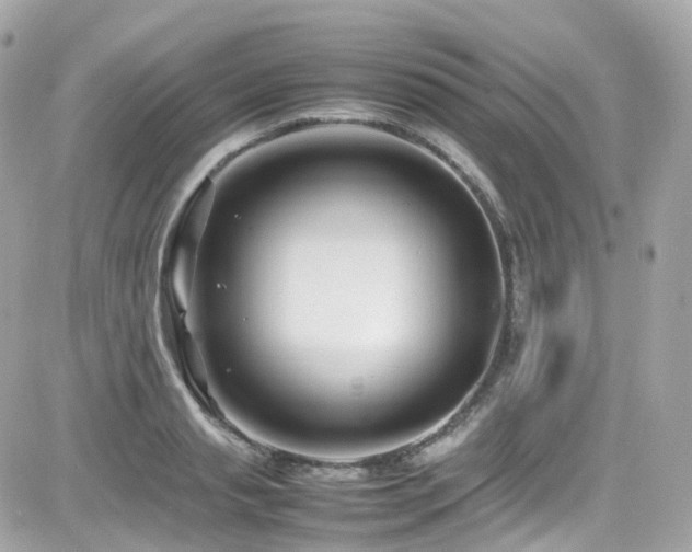 X0000082150845200701191207