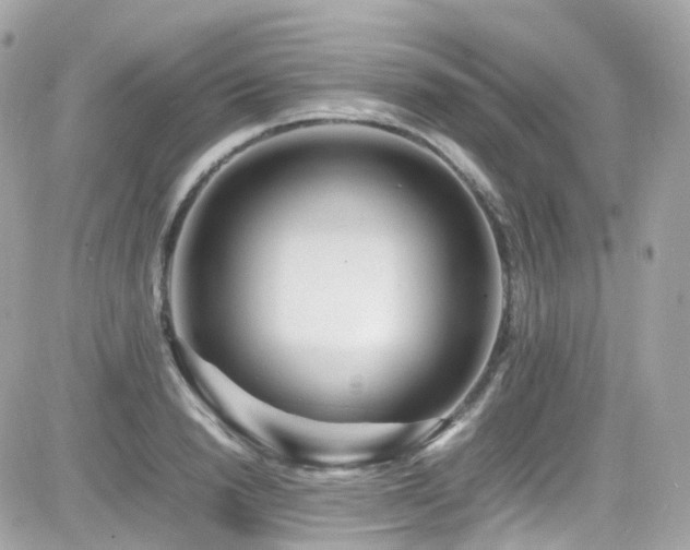 X0000082150846200701191207