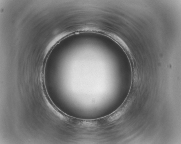 X0000082150847200701191207