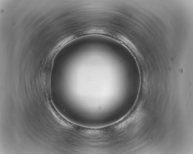 X0000082150849200701191207