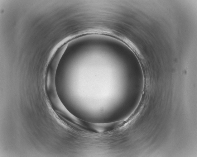 X0000082150854200701191207