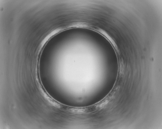 X0000082150861200701191207