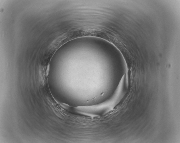 X0000082150868200701191206