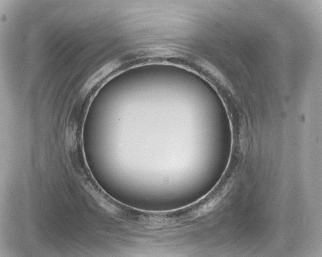 X0000082150873200701191206