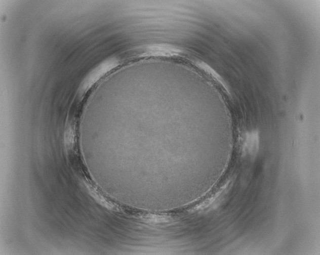 X0000082150874200701191206