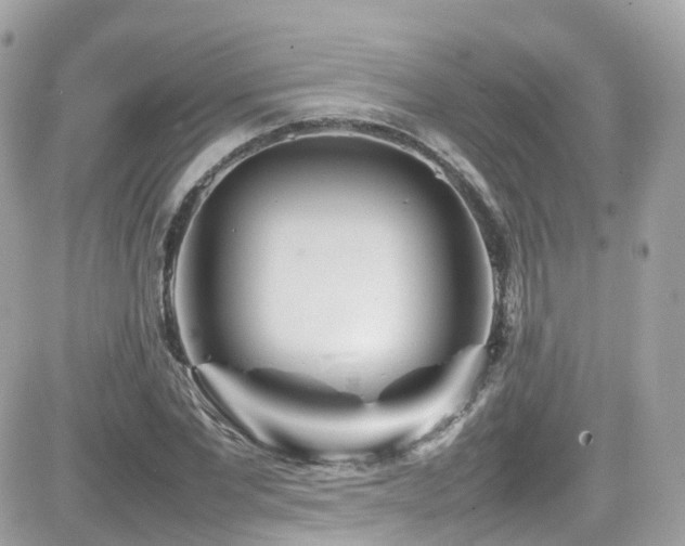 X0000082150877200701191206