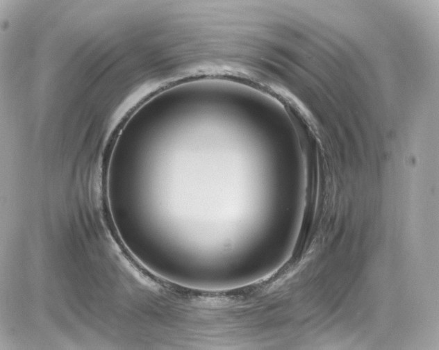 X0000082150894200701191206