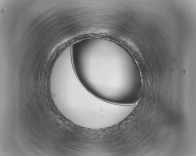 X0000082150920200701191205