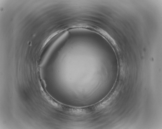 X0000082150945200701191205