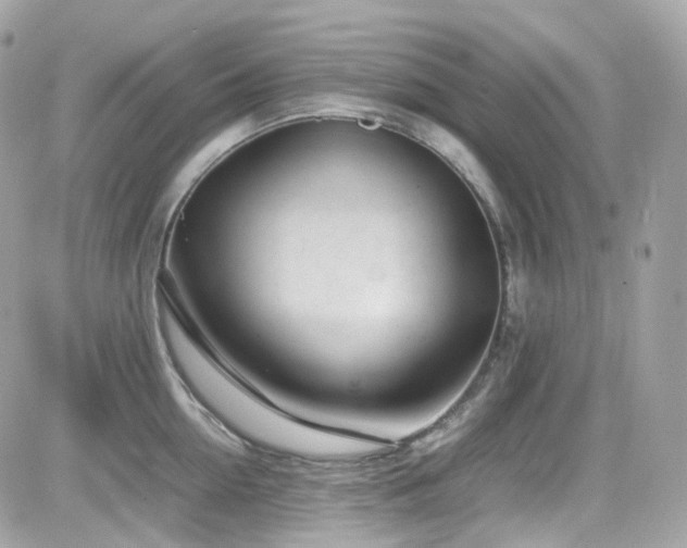 X0000082150954200701191205