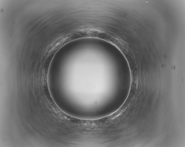 X0000082151014200701191203