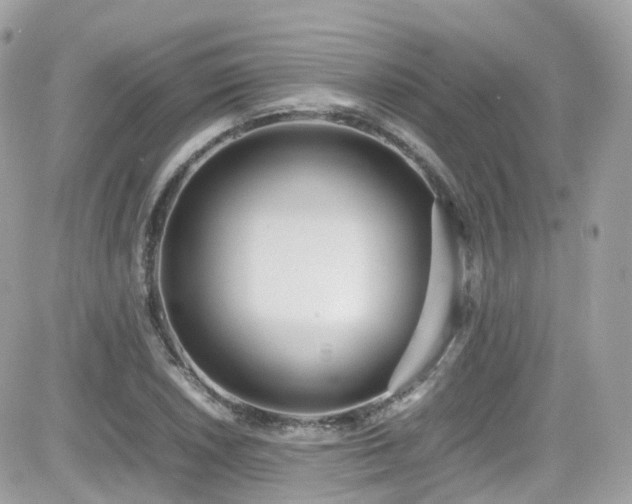 X0000082151026200701191204
