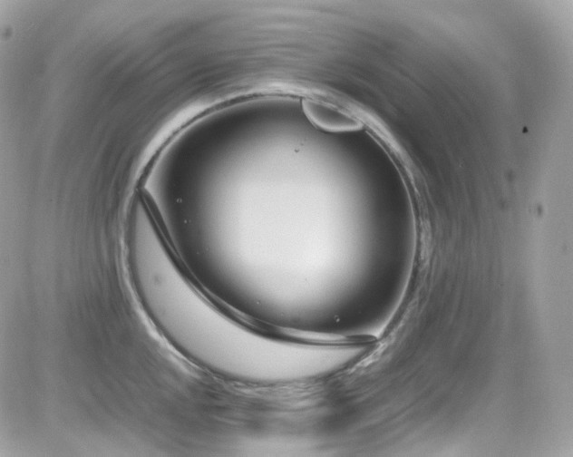 X0000082151048200701191204