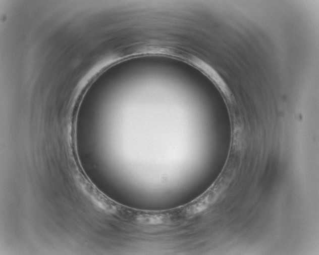 X0000082151051200701191204