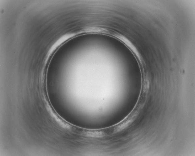X0000082151053200701191204