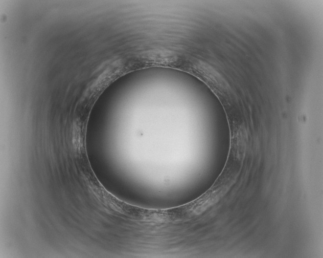 X0000082151058200701191203
