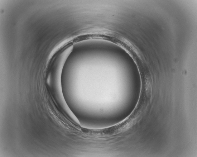 X0000082151069200701191203
