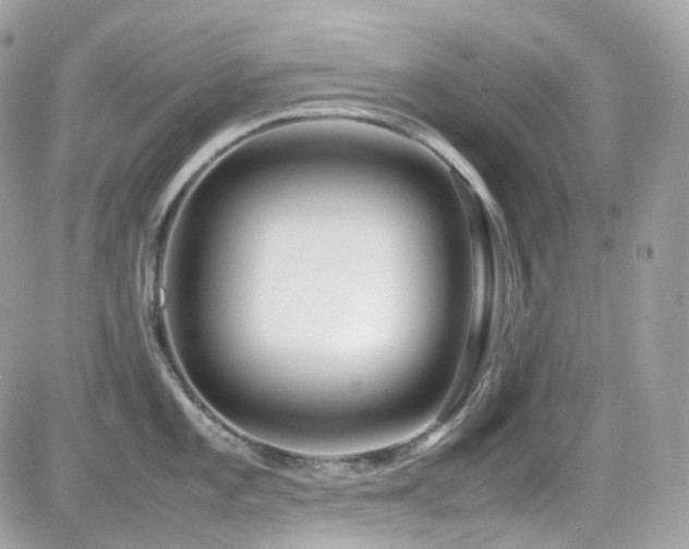 X0000082151101200701191203