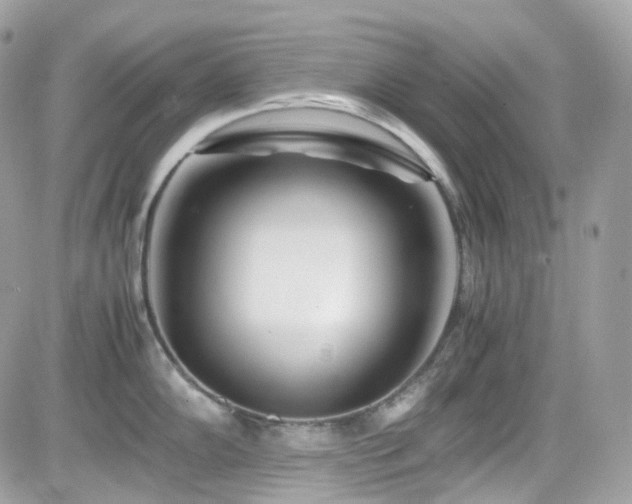 X0000082151102200701191203