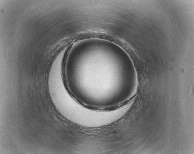 X0000082151110200701191202