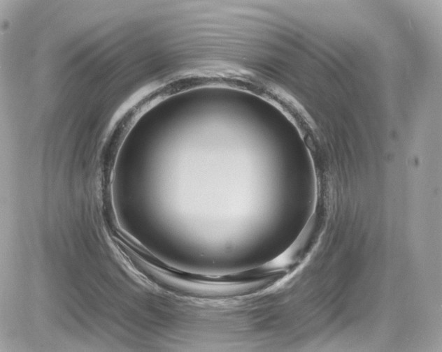 X0000082151114200701191202