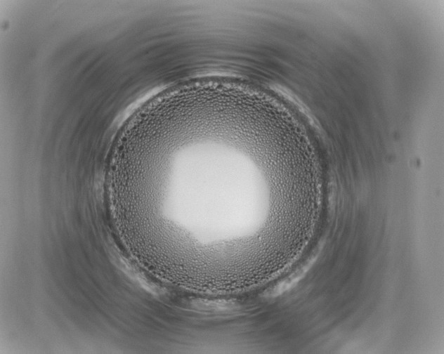 X0000082151121200701191202