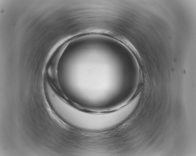 X0000082151132200701191202