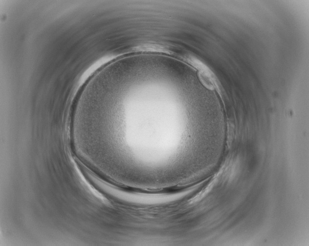 X0000082151141200701191202