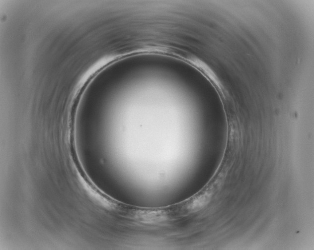 X0000082151143200701191202