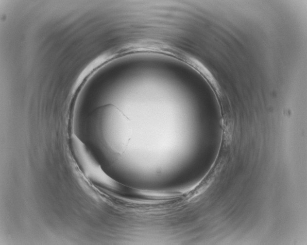 X0000082151146200701191202
