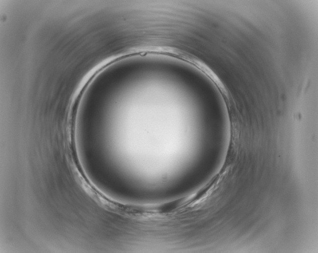 X0000082151148200701191202