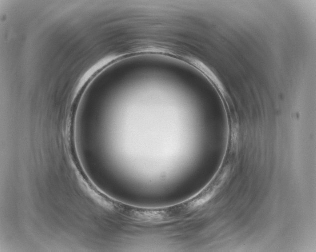 X0000082151149200701191202