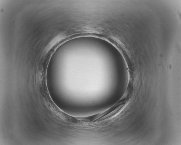 X0000082151163200701191202