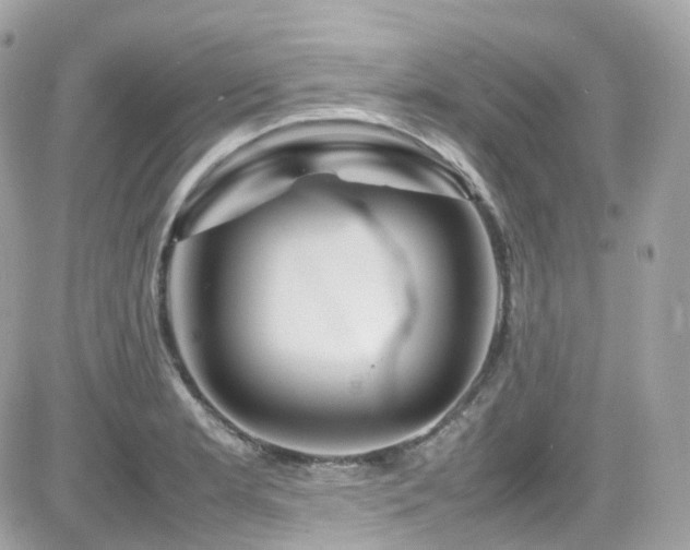 X0000082151181200701191201
