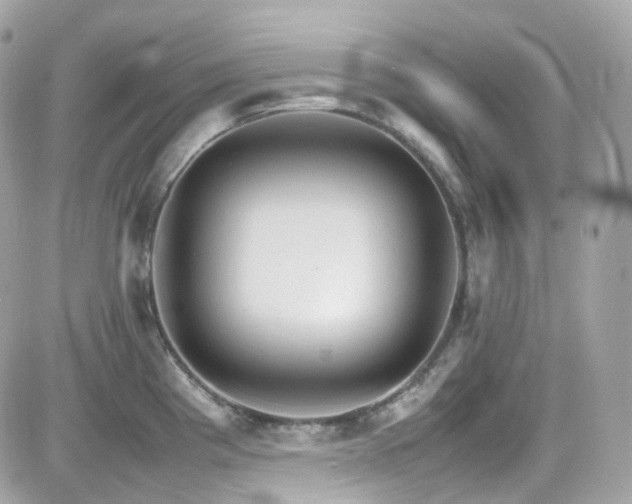 X0000082151193200701191201