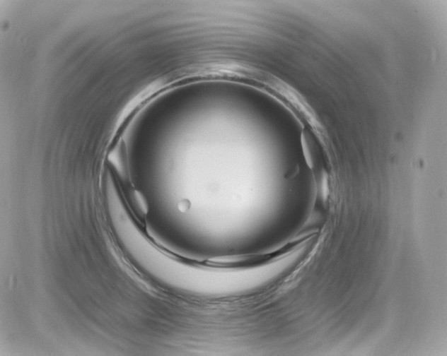 X0000082151234200701191201