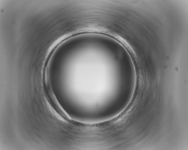 X0000082151238200701191201