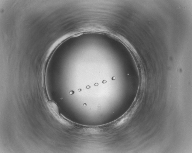 X0000082151246200701191201