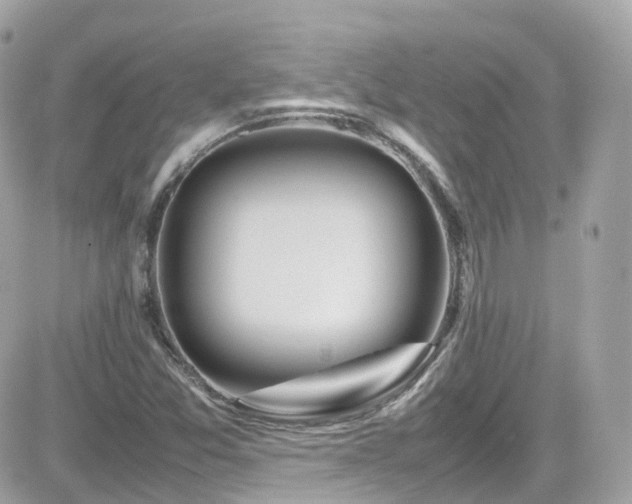 X0000082151357200701191158