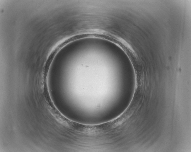 X0000082151364200701191158