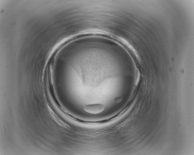 X0000082151372200701191158