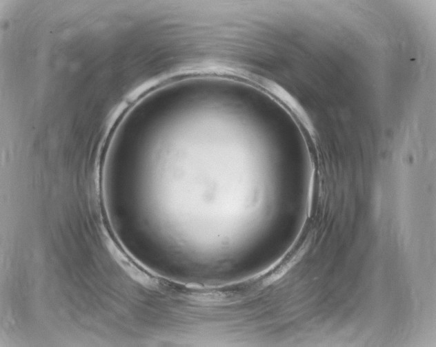 X0000082151388200701191158