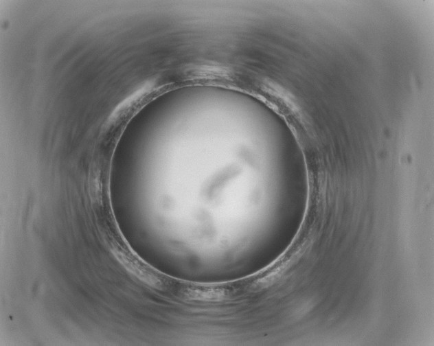 X0000082151403200701191157