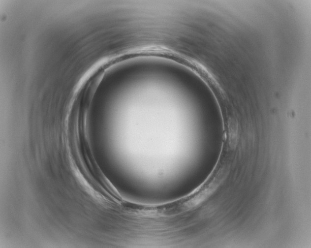 X0000082151422200701191158
