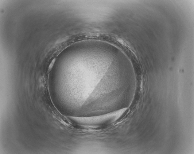 X0000082151445200701191157