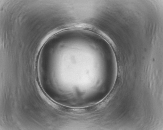 X0000082151483200701191156