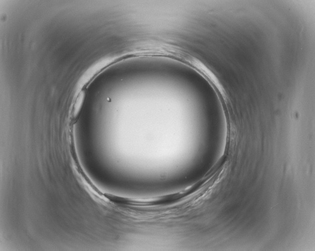 X0000082151485200701191156