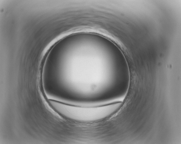 X0000082151518200701191156