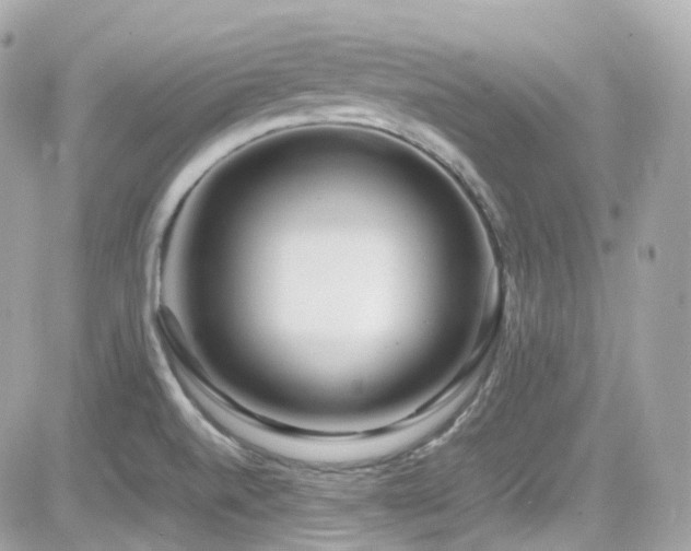 X0000082151520200701191156