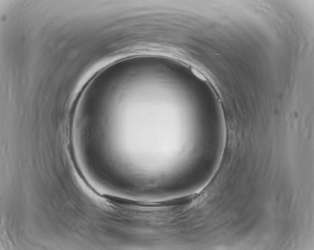 X0000082151531200701191156
